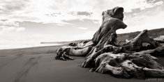 Patea Beach, West Coast of New-Zealand North Island. This picture has been finalist  at -L albatros- Foto contest, Palestrina (Italia)