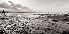 île Callot, Morlaix, Brittany