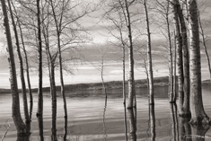 Matapedia Lake, Gaspésie, Canada